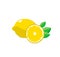 Vector illustration. Fresh lemons with leaves