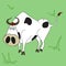 Vector illustration, funny bull walking on a green field.