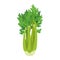 Vector illustration of a funny celery in cartoon style