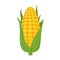 Vector illustration of a funny corncob in cartoon style