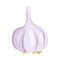 Vector illustration of a funny garlic in cartoon style