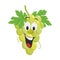 Vector illustration of a funny and smiling bunch of green grapes character