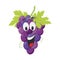 Vector illustration of a funny and smiling bunch of purple grapes character