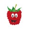 Vector illustration of a funny and smiling raspberry character
