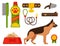 Vector illustration funny thoroughbred german shepherd dog attentive happy pet pedigree canine accessory.