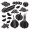 Vector illustration garlic on white background . Isolated black set icon food of onion . Vector black set icon garlic.