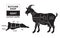 Vector illustration goat cuts diagram or chart. Goat black silhouette