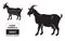 Vector illustration goat cuts diagram or chart. Goat black silhouette