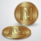 Vector illustration of gold coins with Israeli