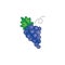 Vector illustration. Grapes icon