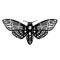 Vector illustration. graphic drawing of a nocturnal butterfly, trifle. dead head, hawk dead head. black and white drawing a symbol