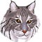 Vector illustration gray bobcat big cat In cartoon style