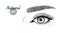Vector illustration of gray female eye with extended eyelashes and eyebrow. Natural set.