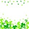 Vector illustration of green clover leaves on white. St Patrick`s Day background.