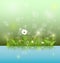 Vector illustration Green grass and leaves with white daisy, wildflower and shadow reflection on light blue water