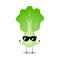 Vector illustration of green white cabbage character with cute expression. thumb up, happy, sunglasses, cool