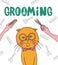 Vector illustration. Grooming pets. Cat haircut