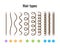 Vector Illustration of a Hair Types chart displaying all types and labeled.