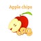 Vector illustration Half of red apple and dried fruits. Slices chips, baked delicious on white background.