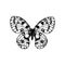 Vector illustration hand drawing butterfly Parnassius apollo