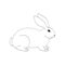 Vector illustration of hand drawing rabbit. Easter symbol. Black and white bunny