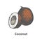 Vector illustration hand-drawn brown ripe coconut