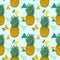 Vector illustration with hand drawn fresh pineapple