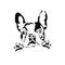 Vector illustration of a hand drawn silhouette of a french bulldog.