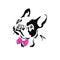 Vector illustration of a hand drawn silhouette of a french bulldog with a pink bow.