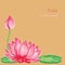 Vector illustration handmade drawing pastel chalks lotus flower