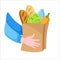 Vector illustration. Hands holding paper eco bag with grocery shopping. Healthy food in a bag, bread, lettuce, water and