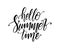 Vector illustration: Handwritten type lettering of Hello Summer Time