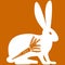 Vector illustration of hare on orange background