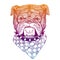 Vector illustration head ferocious bulldog mascot, on a white background