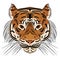 Vector illustration head ferocious tiger