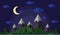 Vector illustration of the high mountains and hills covered in green forest, moonlit night, a clear starry sky with