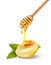 Vector illustration of honey spoon with  honey lemon and mint