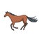 Vector illustration of horse and hippodrome symbol. Collection of horse and jumping vector icon for stock.