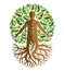 Vector illustration of human, athlete created as continuation of tree with strong roots and surrounded by eco green leaves.