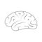 Vector illustration of human brain anatomy