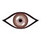 Vector illustration of human eye. Stylized brown eye with glares