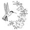 Vector illustration of a hummingbird. Stylized flying bird. Drawing with ornaments. Linear Art. Black and white drawing