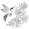 Vector illustration of a hummingbird. Stylized flying bird. Drawing with ornaments. Linear Art. Black and white drawing