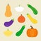 Vector illustration icon set of squash, pumpkin vegetable