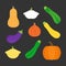 Vector illustration icon set of squash, pumpkin vegetable