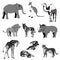 Vector illustration, the image of animals, animals. Black and white and gray line, spot. Elephant, kangaroo, camel, lion, zebra, r