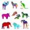 Vector illustration, the image of animals, animals. Multicolored silhouettes. Elephant, kangaroo, camel, lion, zebra, rhinoceros,
