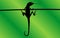 Vector illustration image of a black silhouette of a chameleon hanging on a branch vertically with a protruding tongue in a spiral