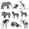 Vector illustration. Image rhino kangaroo, giraffe, elephant, zebra, snake, crocodile, camel, tiger. black and white.