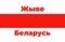 Vector illustration the inscription Freedom for Belarus . The symbol of freedom Belarus. National colors of Belarus